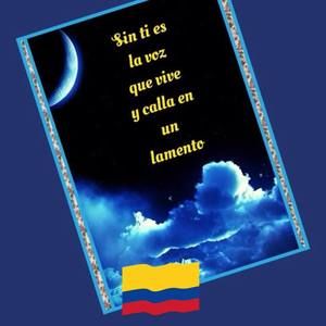 Meet your Posher, Luz stella